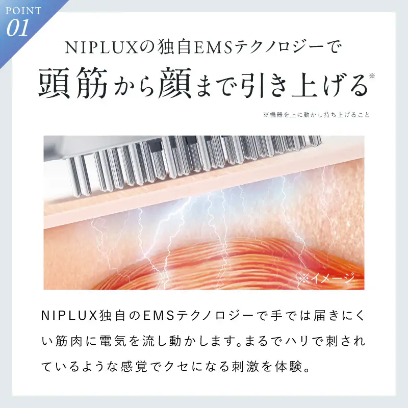 NIPLUX 美顔器 ブラシ型 リフトケア EMS LIFT BRUSH NP-ELB23SV 電気ブラシ リフトアップ 頭皮ケア スカルプ フェイス ボディ 全身 引き締め リフトブラシ 頭皮マッサージ ヘッドマッサージ マッサージ