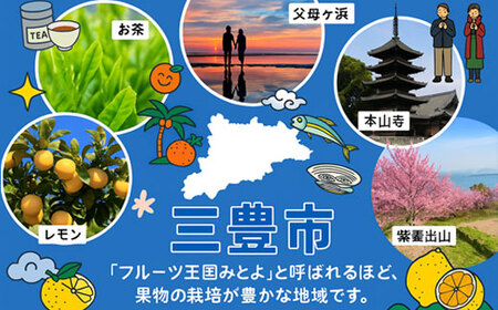 プラムファッション BOXティッシュ 5箱×4パック 合計20箱 ティッシュペーパー