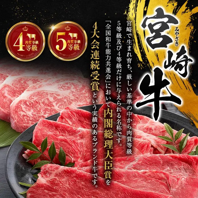 宮崎牛100% こだわり ハンバーグ 120g×10個 国産 黒毛和牛 惣菜