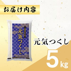 ＜数量限定＞元気つくし 精白米 (5kg)お米 米 精白米  国産 福岡県産 ブランド米 5kg 数量限定 常温＜北海道・沖縄・離島配送不可＞【ksg1780】