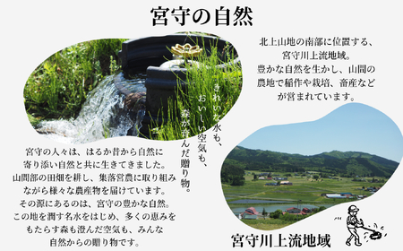 遠野どぶろく　”氷結 生”  どぶろく 特区の岩手県遠野市から / 冷凍 発送 宮守川上流生産組合 吟ぎんが