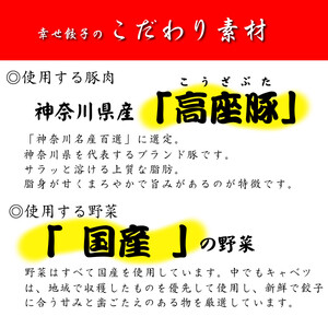 幸せ餃子のボリューム満点こだわり大餃子50個入り