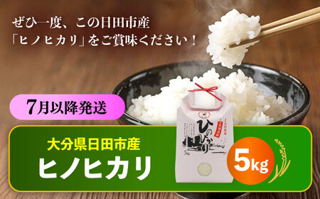 【先行予約】大分県産 ヒノヒカリ 5kg 日田市 こめ コメ 米 [ARDX013] ひのひかり