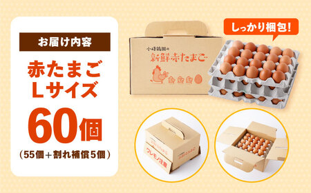 〈数量限定〉【朝採れ直送】小峰鶏園 赤たまご Lサイズ 60個 / 卵 玉子 たまご 卵焼き 玉子焼き 生卵 鶏卵 卵かけごはん / 諫早市 / 小峰鶏園 [AHFB001]