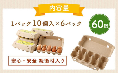 【定期便：6か月】【食べチョクアワード2025 畜産部門 1位の日本一のたまご】単なる平飼いではない究極の卵『わたしたちのぷらいどたまご』6パック（60個）セット