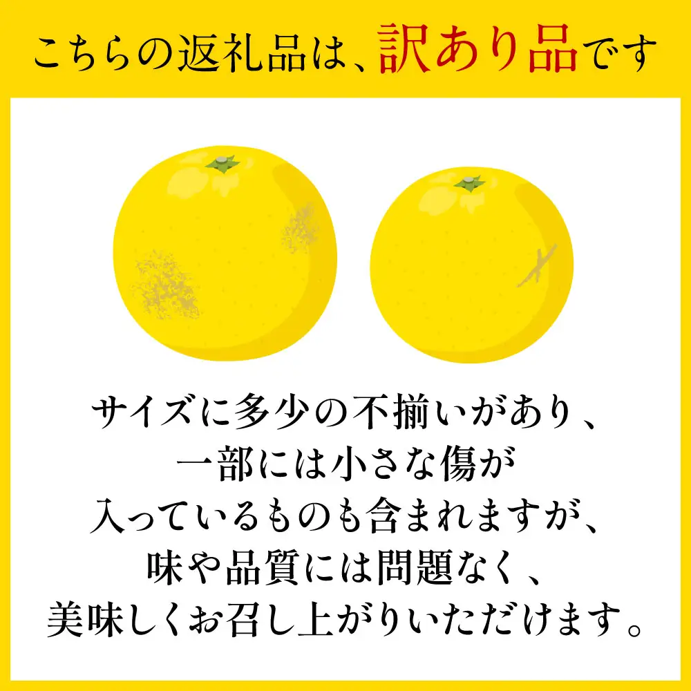 【先行予約】 【訳あり】 晩白柚 5～7玉 約8kg ばんぺいゆ 果物 果実 くだもの フルーツ 柑橘 柑橘類 熊本県 八代市 【2027年1月上旬より順次発送】