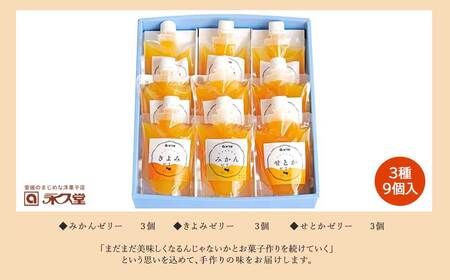 フルーツゼリー ちゅるちゅるゼリー 柑橘 3種 合計9個 セット みかん きよみ せとか 柑橘王国愛媛 永久堂