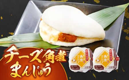 【6回定期便】角煮まんじゅう3種食べ比べ 計8個[OCT035]角煮まん