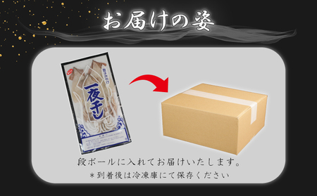 イカの一夜干し 2~4枚 (約350g) イカ イカ ヤマワカ水産