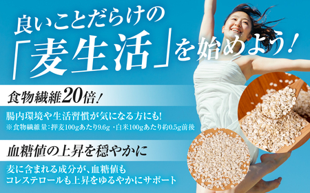 宝麦（特選押麦）20kg 麦 むぎ 大麦 押麦 国産 麦ごはん とろろごはん 麦飯 麦めし 米 麦味噌 麦みそ