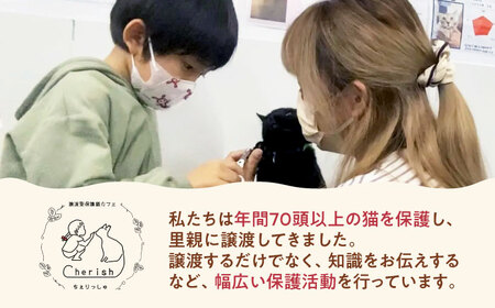 Cherish猫カフェ 回数券（10回分）特定非営利活動Cherish[AODU002] 保護猫 保護猫応援 保護猫カフェ