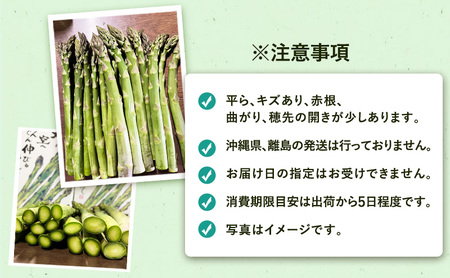 ［武田農園とれたて直送］2026年春～発送 訳あり グリーンアスパラ サイズ混合 約2kg ご家庭用 やわらかくて抜群に甘い！北海道 富良野産 ( アスパラガス アスパラ 野菜 新鮮 産地直送 先行予約 限定 ) 
