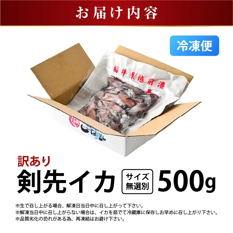 【急速冷凍】【訳あり】生いか 天然ケンサキイカ サイズ無選別 500g 定置網漁 皮むけ・サイズ不揃い【剣先いか 生イカ いか 白イカ いかめし いか焼き 姿焼き げそ 煮付け 海鮮 鮮魚 おつまみ】 [e15-a061]