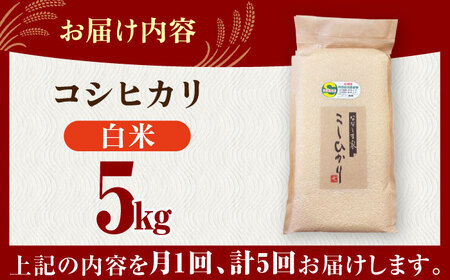 【全5回定期便】令和7年産 ななしま家 コシヒカリ 5kg / 白米 特別栽培 白米 / 佐賀県 / 有限会社七島農産 [41AHAC007]