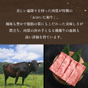 「百年の恵み おおいた和牛 」しゃぶしゃぶ用 400g × 3ヶ月 定期便 おおいた和牛 黒毛和牛 A5 等級 しゃぶしゃぶ用 牛肉 ロース 肩ロース もも 肩 部位 霜降り 血統 風味 脂肪 産地 九州 大分 肉 食材 グルメ 豊後牛