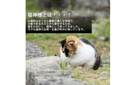 ねこの形がかわいい！猫神様のケーキ缶 6缶セット（3種×2缶）フローズンケーキ【0610501】