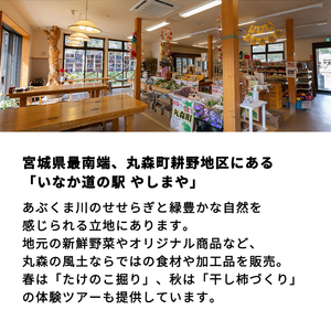 たけのこカレー1人前×4個セット【0802201】
