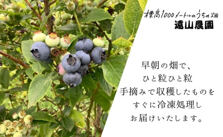 【軽井沢の農家】 遠山農園より直送！ 冷凍ブルーベリー 1.5kg （750g×2パック） 農家直送 軽井沢産 冷凍 ブルーベリー 遠山農園 軽井沢農家 国産