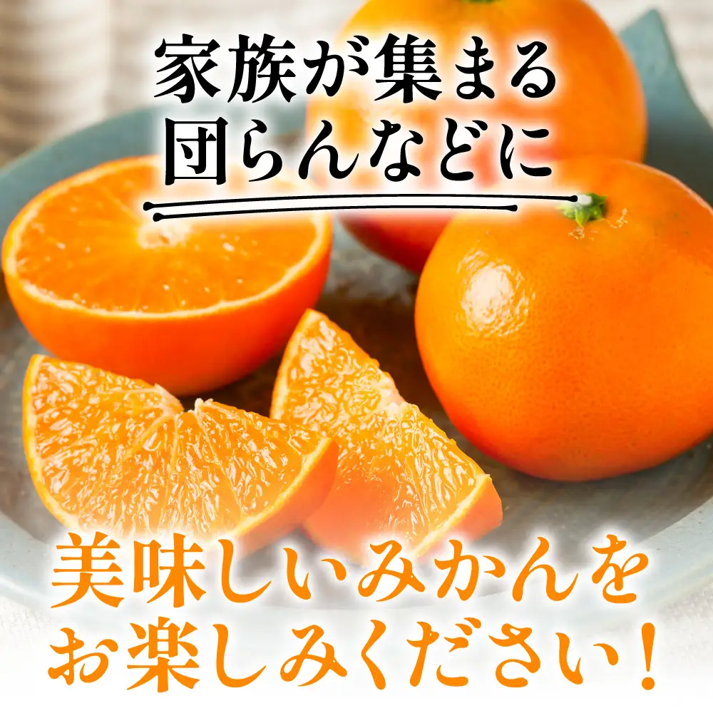 【先行予約】 みかん 八代市東陽町産の 「熊本EC12みかん」 約3kg みかん 【2026年12月上旬より順次発送】