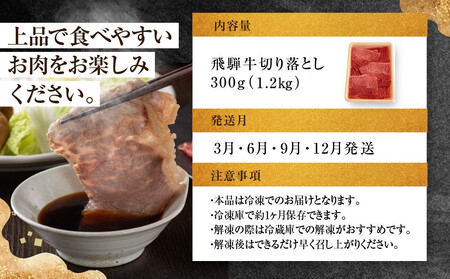 ちょっとリッチな飛騨牛（希少部位）約1.2kg 【3月・6月・9月・12月発送】定期便 4回 | みすじ ウデ すき焼き しゃぶしゃぶ  希少部位 300g 和牛 国産牛 冷凍 飛騨高山 飛騨牛のこもり FC110
