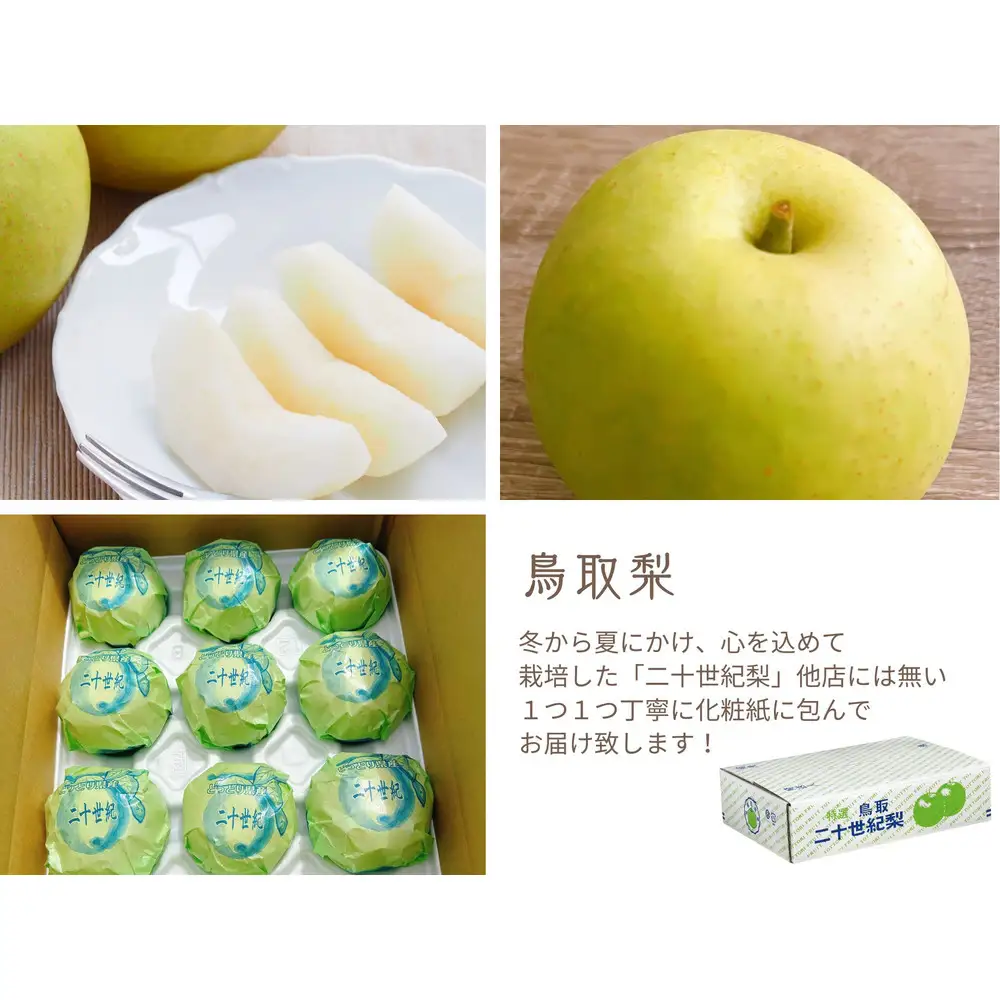 数量限定 鳥取県産 梨 訳あり ご自宅用 二十世紀梨 5kg