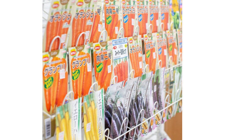 季節のおすすめ野菜おまかせ詰め合わせ3ヵ月定期便 8種～12種類【16103】