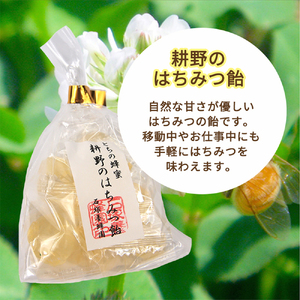 耕野のはちみつ 240g×2本セット 栃のはちみつ飴付き【2110101】