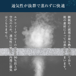 ★TBSテレビ系列「ひるおび」で取り上げられました！★ エアウィーヴ キャリークッションmini