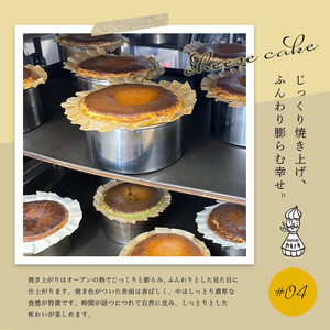 カキノキ チーズケーキ 冷凍 4号 ブルーベリー ケーキ