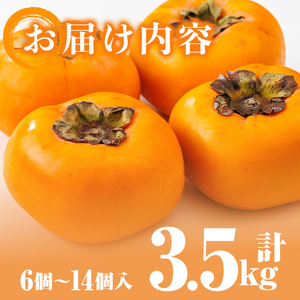 ＜先行予約受付中！2026年10月下旬～11月下旬に順次発送予定＞秋のフルーツの王様・ブランド柿 秋王 (計約3.5kg：6個～14個入り) かき カキ フルーツ 果物 くだもの 福岡限定 オリジナルブランド ＜離島配送不可＞【ksg1753】【農産物直売所ほたるの里】