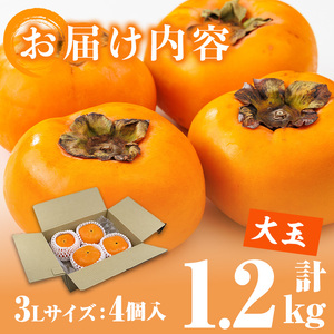＜先行予約受付中！2026年10月下旬～11月下旬に順次発送予定＞秋のフルーツの王様・ブランド柿 秋王 (約計1.2kg・3Lサイズ4玉入り) かき カキ フルーツ 果物 くだもの 福岡限定 オリジナルブランド ＜離島配送不可＞ 【ksg1755】【農産物直売所ほたるの里】