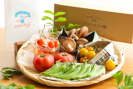 【定期便 1年分・12ヶ月】旬のお野菜セット 秋田県 由利本荘市産 栽培期間中農薬不使用 減農薬