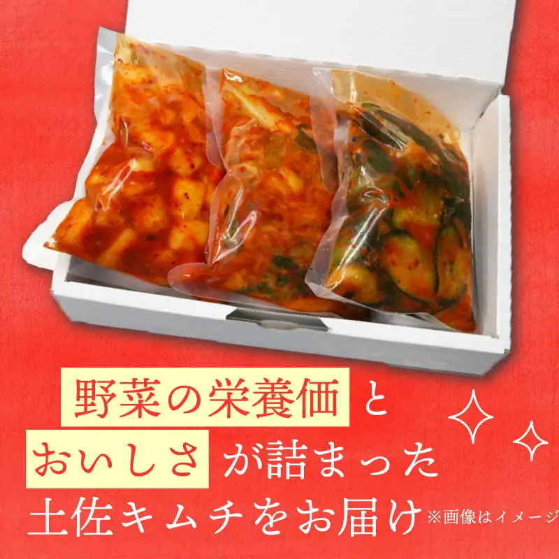 【土佐キムチ きゅうり】 きゅうりキムチ 300g×3パック 無添加 自然派  ポリポリ キムチ 漬物 発酵 きゅうり キムチ 手作り てづくり 韓国 高知県 南国市 