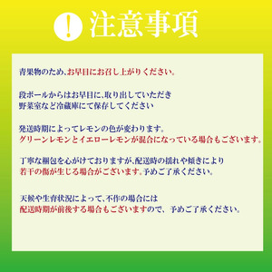 【2026年10月発送】 レモン 10kg 秀品  国産 檸檬 ワックス不使用 防腐剤不使用 