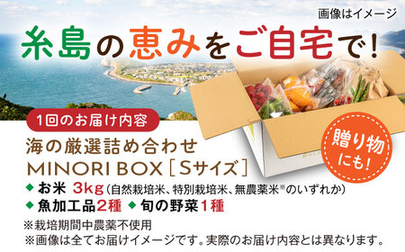 【全4回定期便】 糸島産 魚 米 野菜 果物 厳選詰め合わせ MINORI BOX Sサイズ【季節ごとに年4回お届け】　糸島市 / emma.Inc / 米 魚 野菜 詰め合わせ [AOP004]