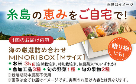 【全4回定期便】 糸島産 魚 米 野菜 果物 厳選詰め合わせ MINORI BOX Mサイズ【季節ごとに年4回お届け】 糸島市 / emma.Inc / 米 魚 野菜 果物 詰め合わせ [AOP005]