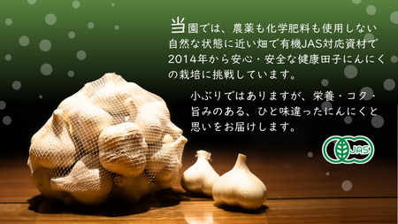 やまもと農産のオーガニックにんにく Sサイズ 1kg