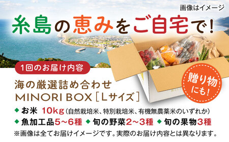 【全4回定期便】 糸島産 魚 米 野菜 果物 厳選詰め合わせ MINORI BOX Lサイズ【季節ごとに年4回お届け】　糸島市 / emma.Inc / 米 魚 野菜 果物 詰め合わせ [AOP006]