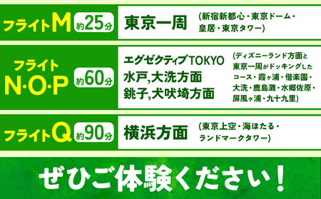 セスナ機遊覧飛行体験 3名 フライトN・O・P（約60分コース） 新中央航空株式会社《30日以内に出荷予定(土日祝除く)》茨城県 河内町 セスナ 飛行体験