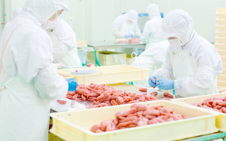 【食品添加物不使用】辛子明太子 並切 500g [ABEQ025]