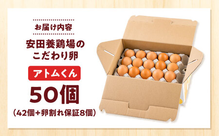 安田養鶏場の卵 アトムくん 50個入り 横須賀市 産地直送 割れ保証付き たまご 黄身 濃厚 卵 玉子 タマゴ 鶏卵 【安田養鶏場】[AKHN004]
