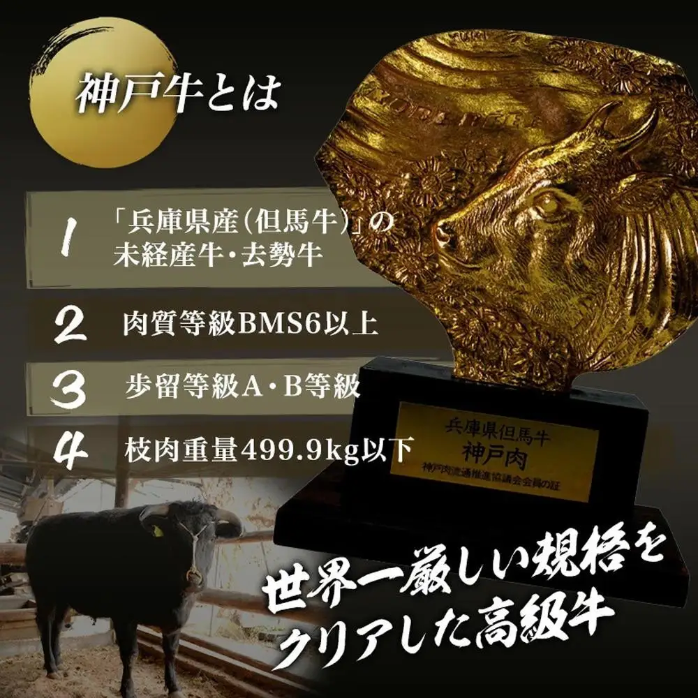 神戸牛 焼肉用 厚切り落とし  500g (BBQ 不揃い 切り落し 訳あり)キングミート