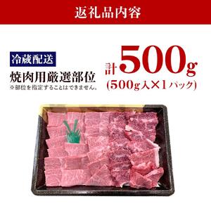 【復興支援】【A4・A5】能登牛 焼肉用厳選部位 500g