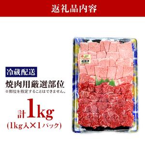 【復興支援】【A4・A5能登牛】焼肉用厳選部位 1kg