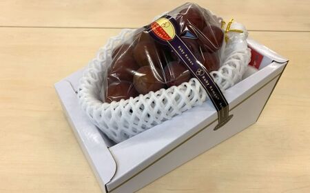 2026年 先行予約 ルビーロマン ぶどう 1房 600g～800g
