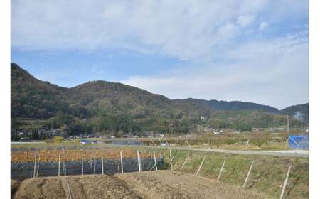 【2026年9月以降順次発送】果樹園こだわりの果実ジャム3種 (岡山県産) 【KF-K004-03】