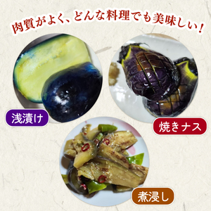 【先行予約】新潟黒十全なす 新鮮 朝採り 採りたて 1kg 令和8年産 茄子 ナス 特産品 野菜 夏野菜 つぐちゃん畑 新潟 新潟県 新発田産 新発田市 tsuguchan002_01