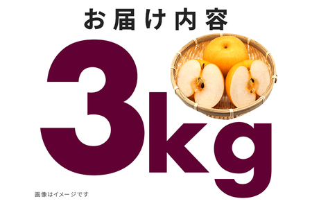 訳あり 柴沼梨園の梨（ 新高 ） 梨 3kg 大玉 4～9個入り 先行予約 【9月下旬～10月上旬発送】 BX-022