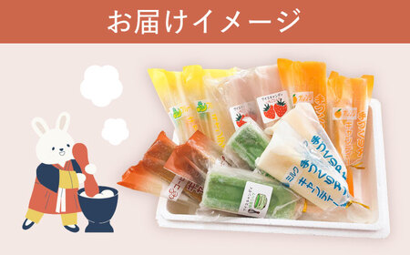 【手作りアイス】 6種類 アイスキャンディー 詰め合わせ 12本入り 食べ比べ 無香料 無着色 多治見市 / エイシン フルーツ いちご 抹茶 オレンジ ミルク コーヒー アイス 無添加 自家製[THD011]