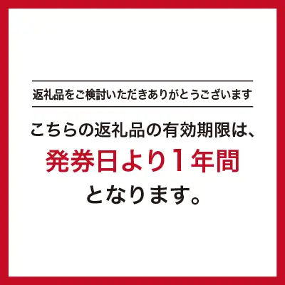 【18万円分】GINZAグローバルスタイル オーダースーツ補助券 GINZA Global Style